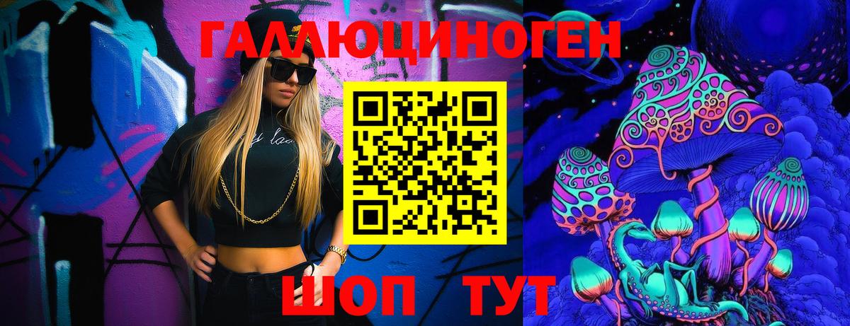 Ефремов  Галлюциногенные грибы Cubensis  Вход с VPN 