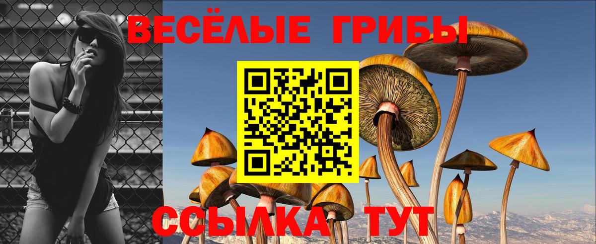 Псилоцибиновые грибы Cubensis Ефремов