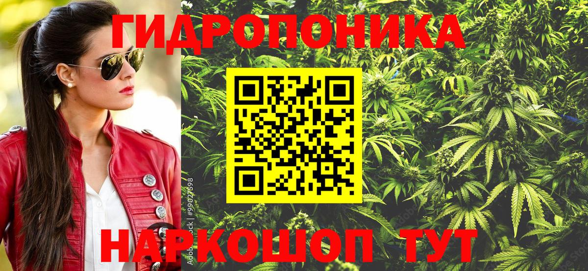 Марихуана конопля  Марихуана план  Канабис LSD WEED  Ефремов  Вход с VPN 